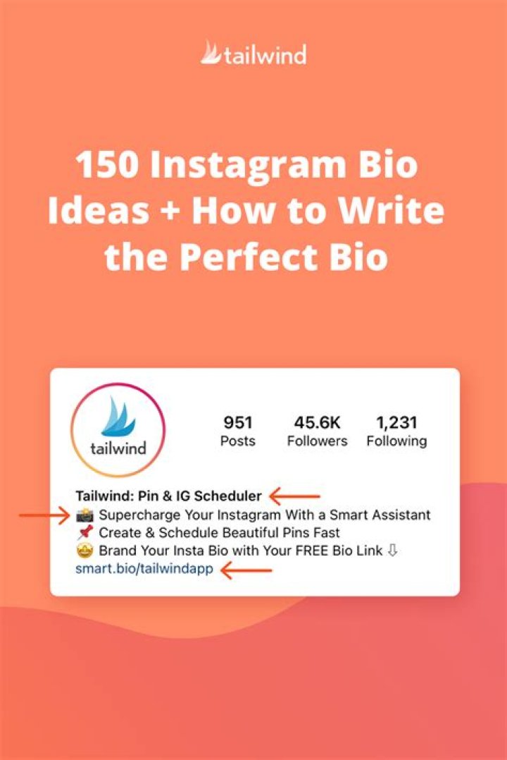 150 Instagram Bio Ideas + How to Write the Perfect Bio Best Instagram