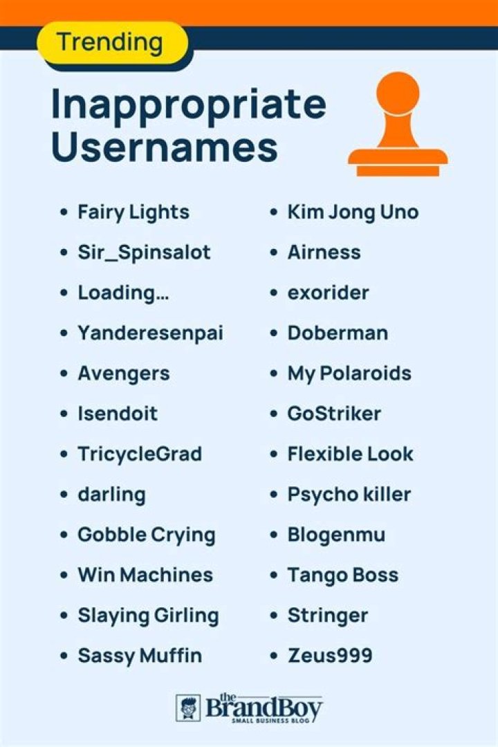 800+ Inappropriate Usernames Ideas With Generator BrandBoy