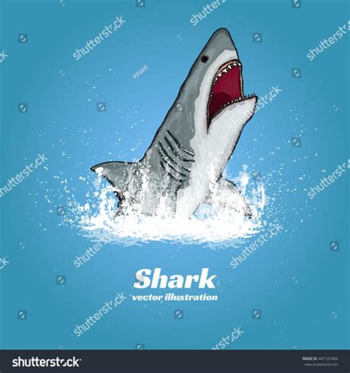 A shark jumping out of the water at dusk