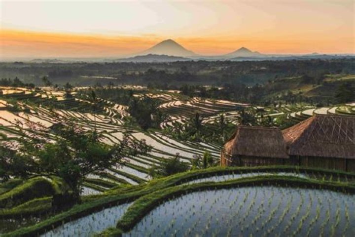 Bali Sunrise
