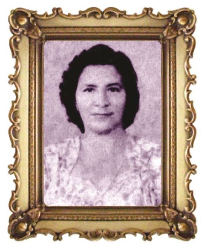 BLOG MENEZES DE LIMA MARIA DA GRA&Ccedil;A LIMA MENDON&Ccedil;A