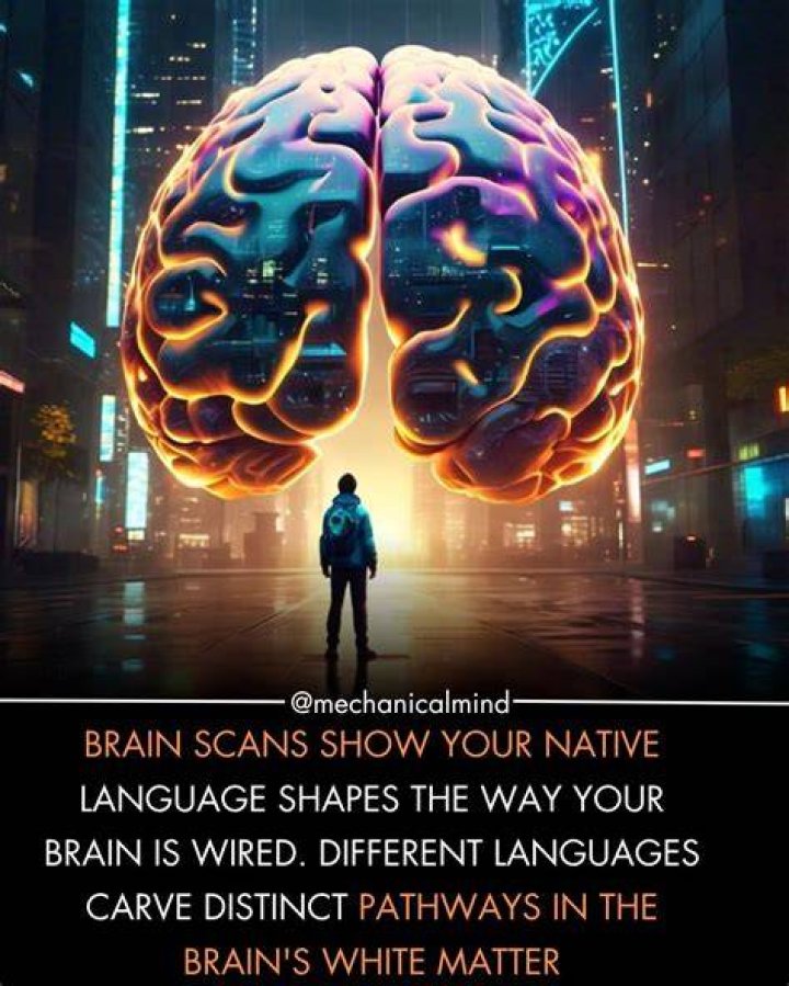 brain facebook