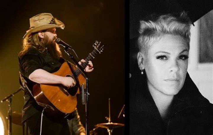 chris stapleton and pink