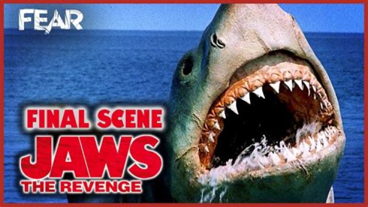 Destruction scene from Jaws