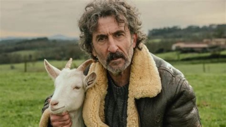 Discovering Luis Zahera: The Versatile Spanish Actor