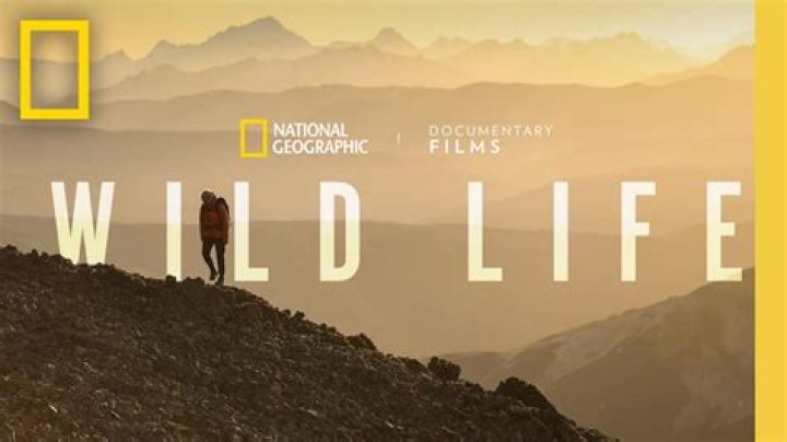 Documentaries to Stream Online For Free