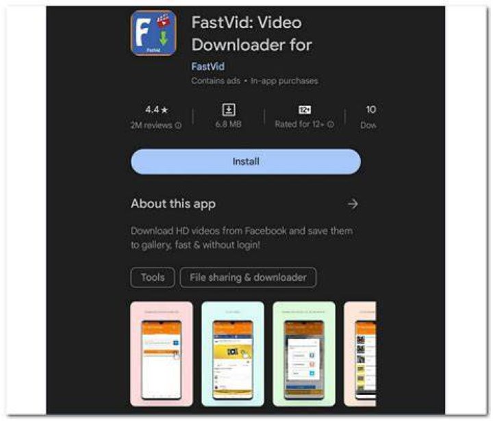 FastVid screenshot 2021