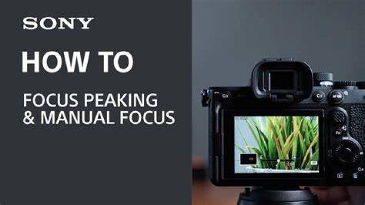 Focus peaking on a Samsung phone.