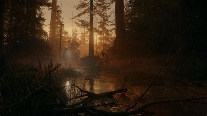 Forest screenshot 2021 2