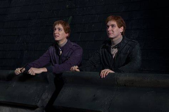 Fred &amp; George Weasley - Fan Art - Harry Potter 