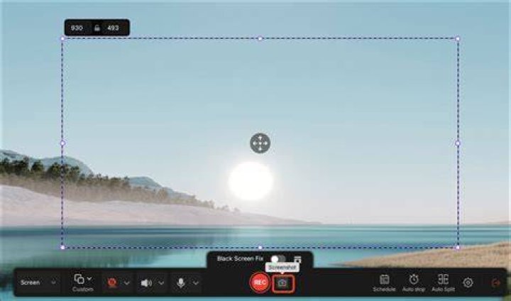 GramSave screenshot