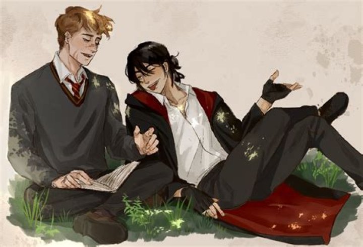 Harry &amp; Sirius - Fan Art - Harry Potter 
