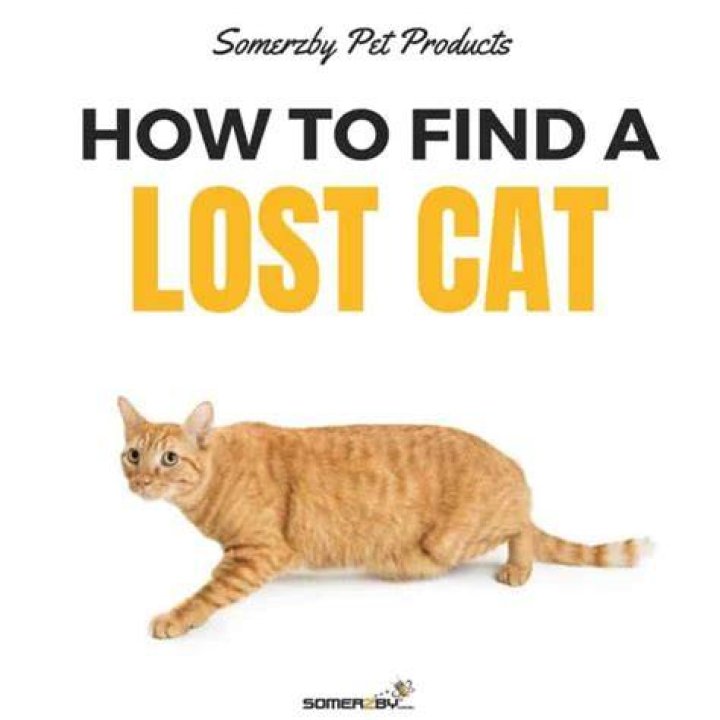 how to find a lost phone find my device google pixel 4 xl location map 2 how to find a lost phone find my device google pixel 4 xl location map 2