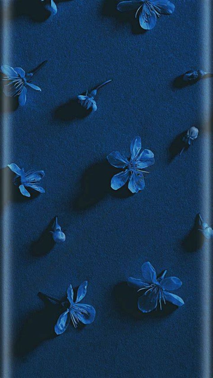 L&oslash;ci Nine Blue Men's