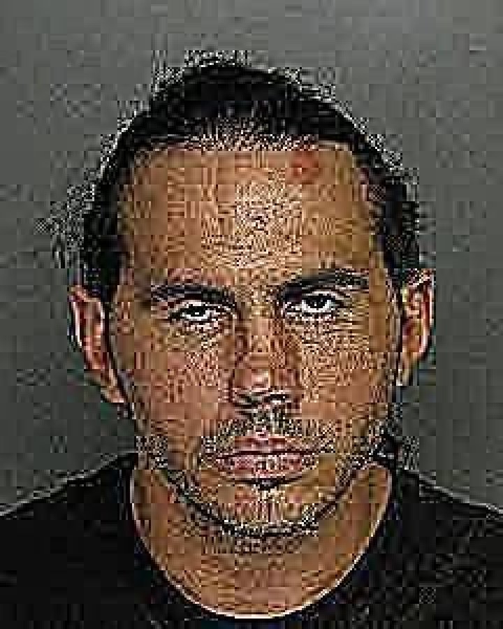 matt hardy arrest
