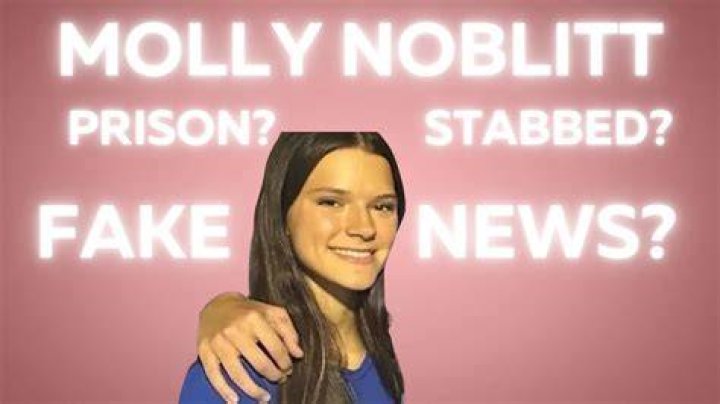 Molly Noblitt Arrested: A Comprehensive Overview