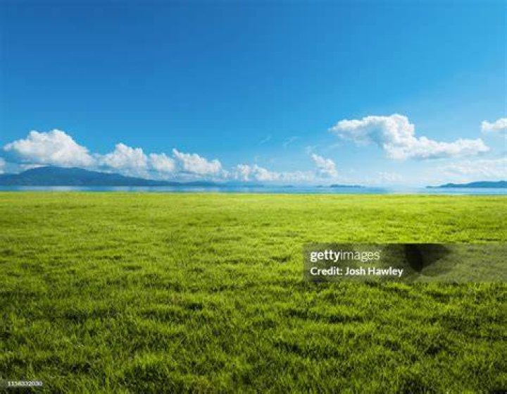 Photo: Getty Images