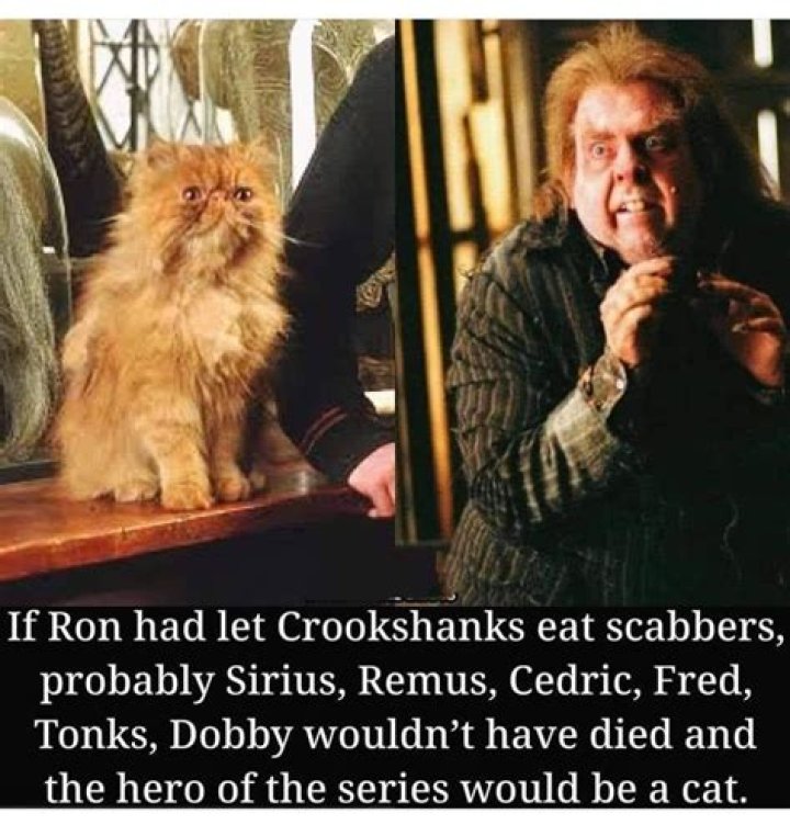 Ron &amp; Crookshanks - Harry Potter Fan Art 