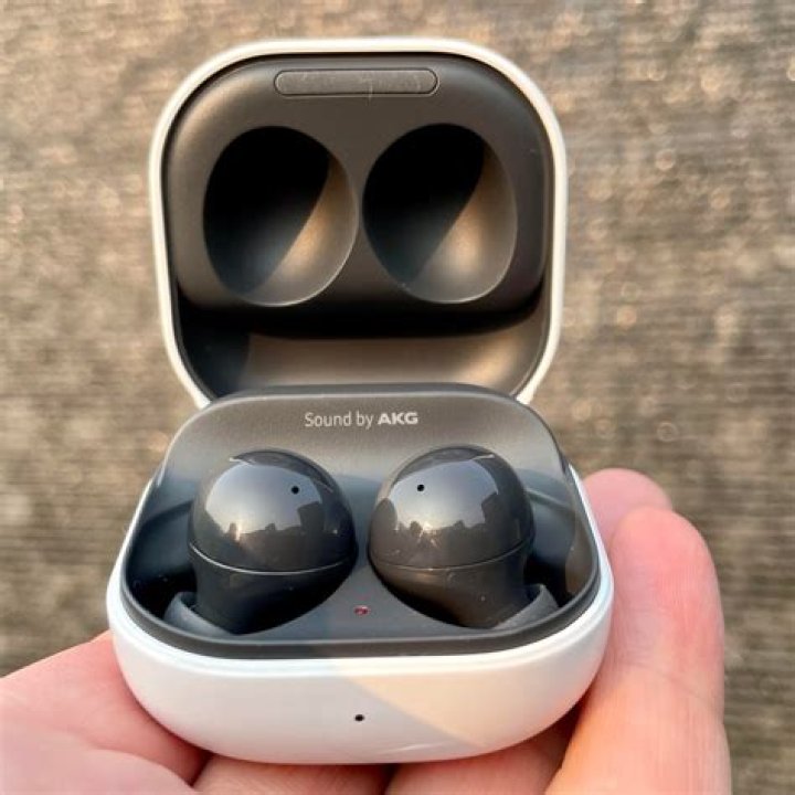 Samsung Galaxy Buds 2 in case