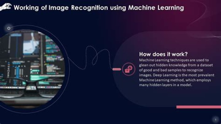 screenshot of image recognition machine learning software on android