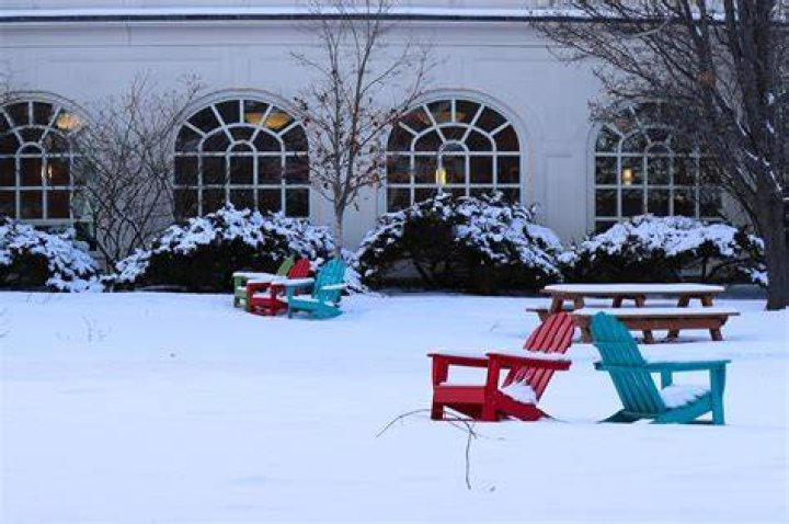 Snowy seats