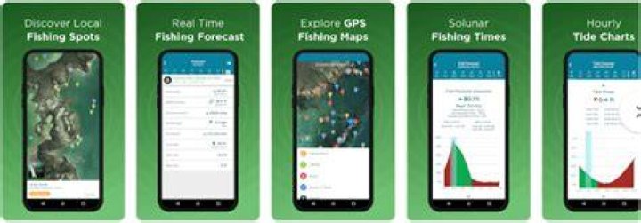 The best fishing apps for Android