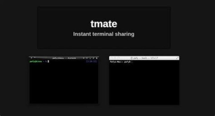 Tmate screenshot 2022
