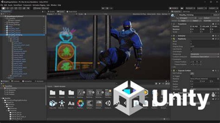 Unity Desktop Unity developer