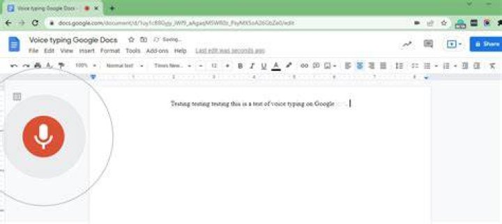 voice typing test on google docs voice typing test on google docs
