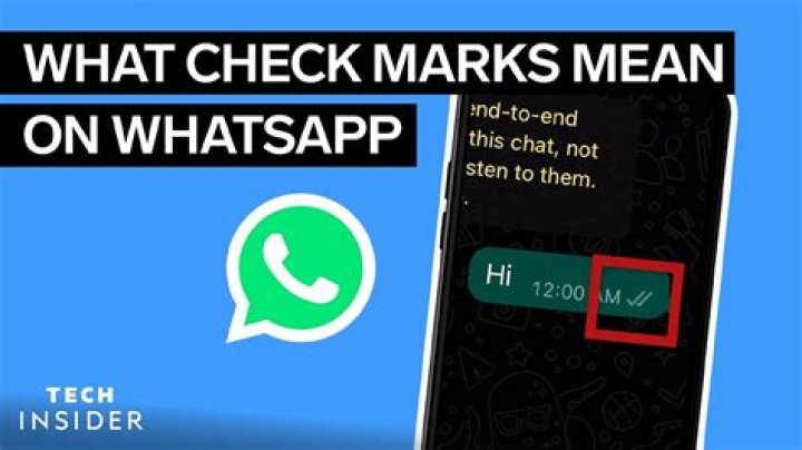 What do the WhatsApp checkmarks mean?