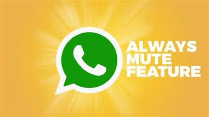 WhatsApp always mute feature