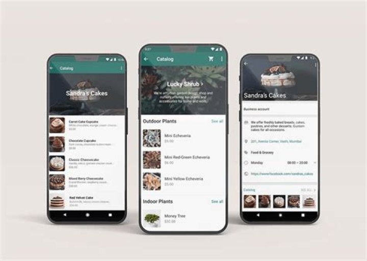 whatsapp business catalog