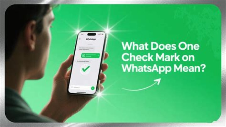 whatsapp one checkmark