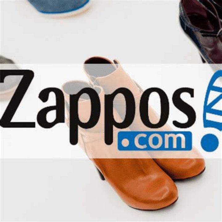 Zappos Designer Dupes Shoes